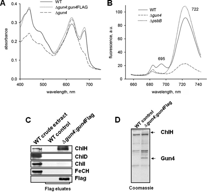 FIGURE 4.