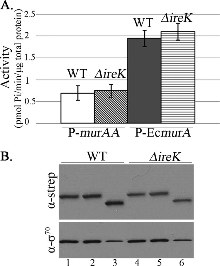 Fig 5