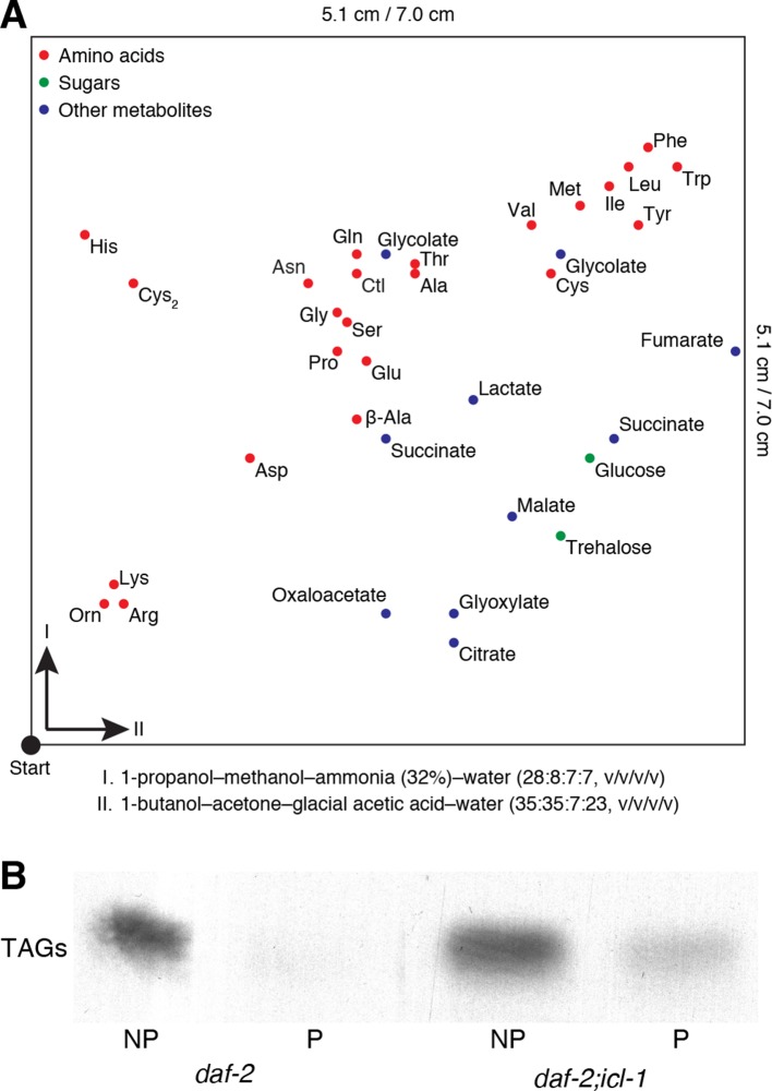 Figure 3—figure supplement 1.