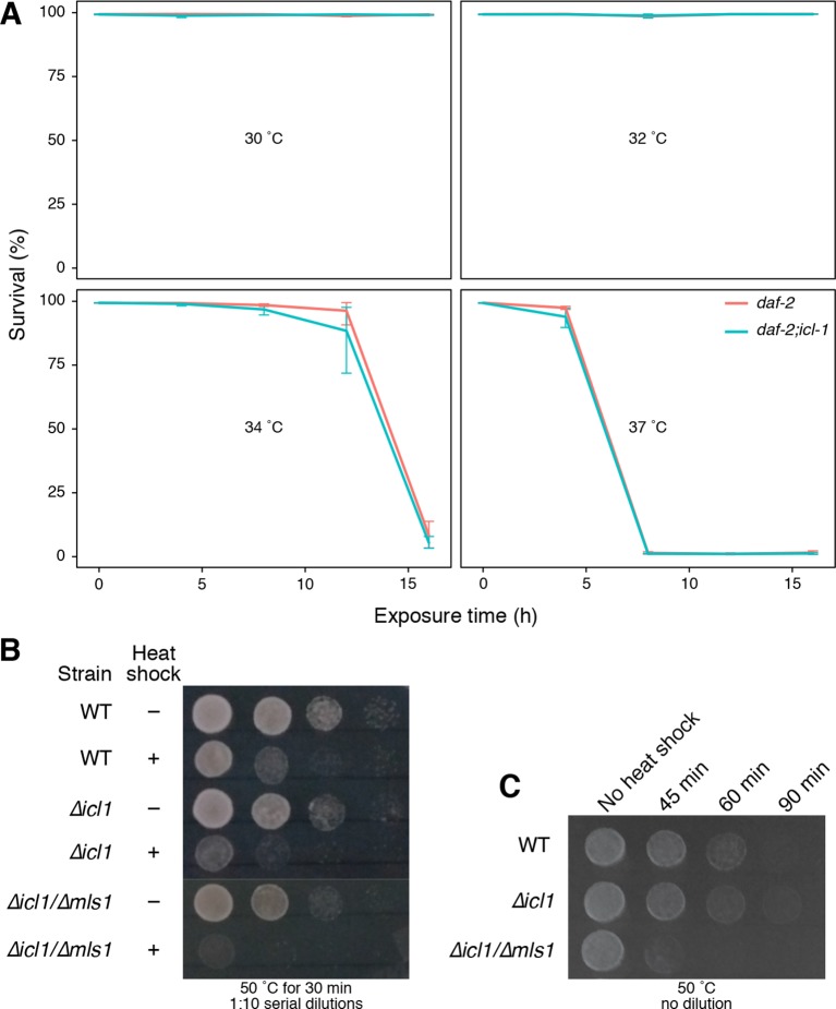 Figure 4—figure supplement 1.