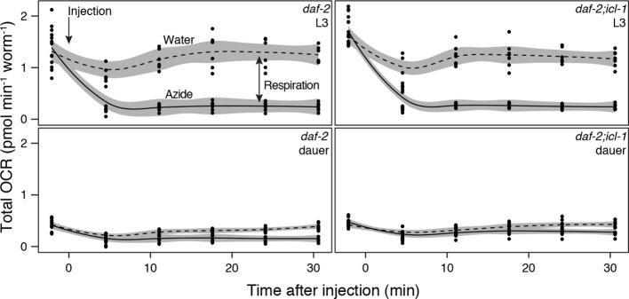 Figure 2—figure supplement 1.