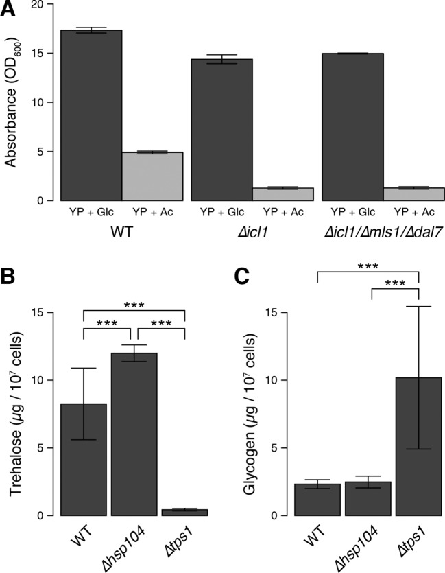 Figure 7—figure supplement 1.