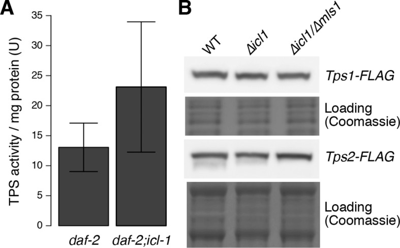 Figure 3—figure supplement 2.