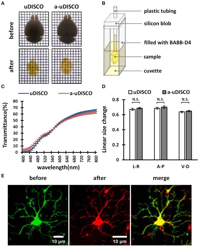 Figure 4