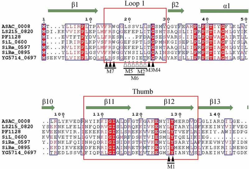 Figure 2.