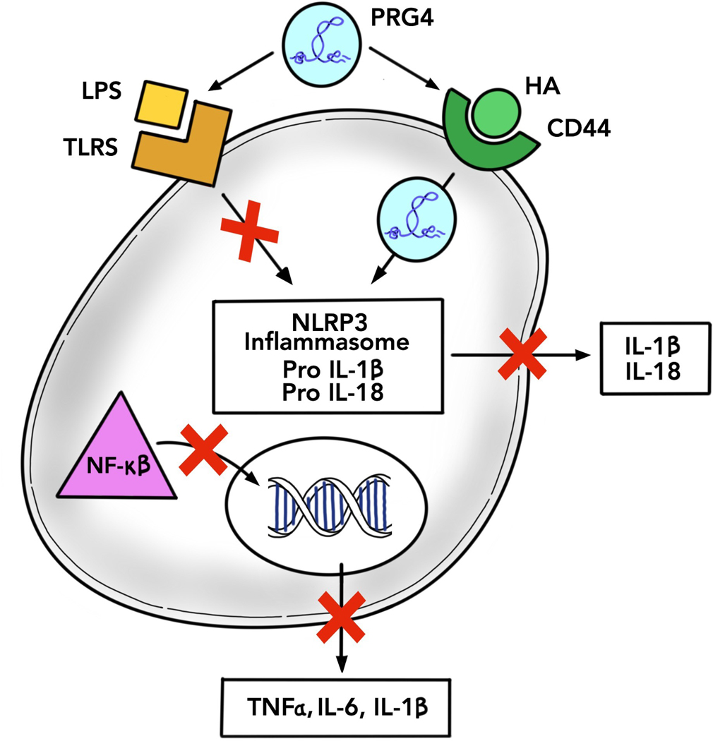 Figure 1: