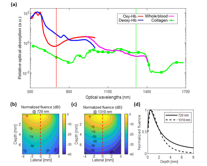 Fig. 2