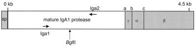 FIG. 1