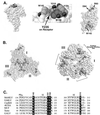 FIG. 6