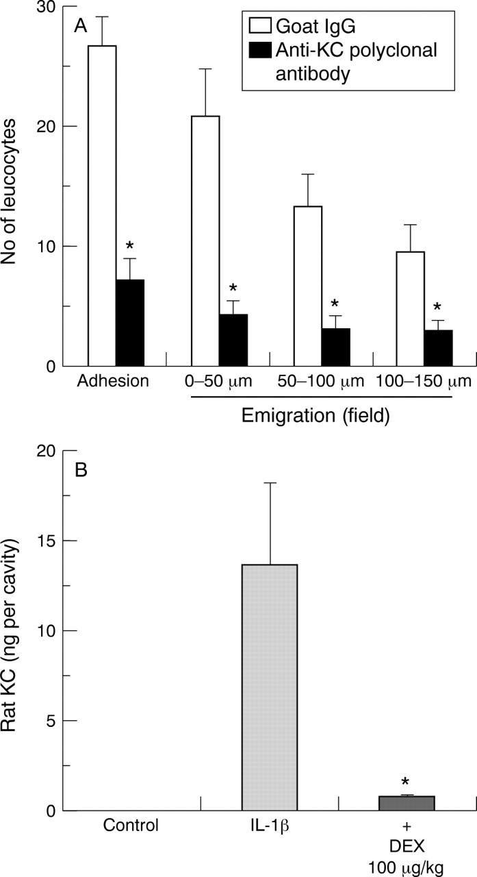 Figure 4  