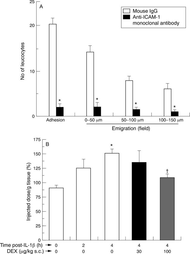 Figure 2  