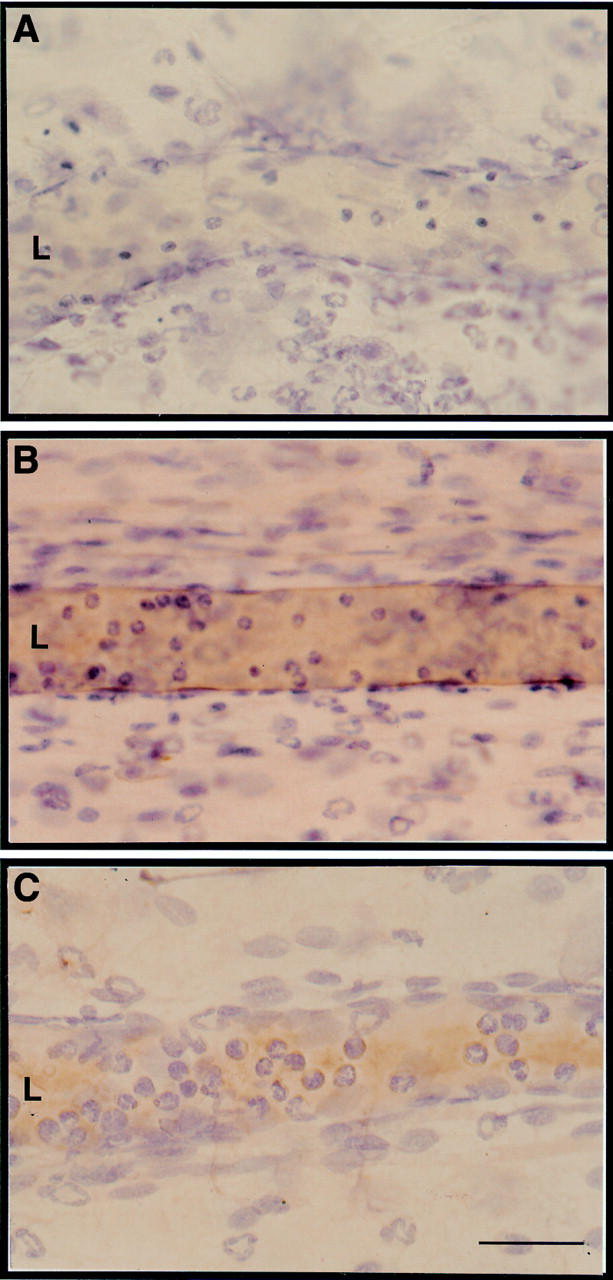 Figure 3  