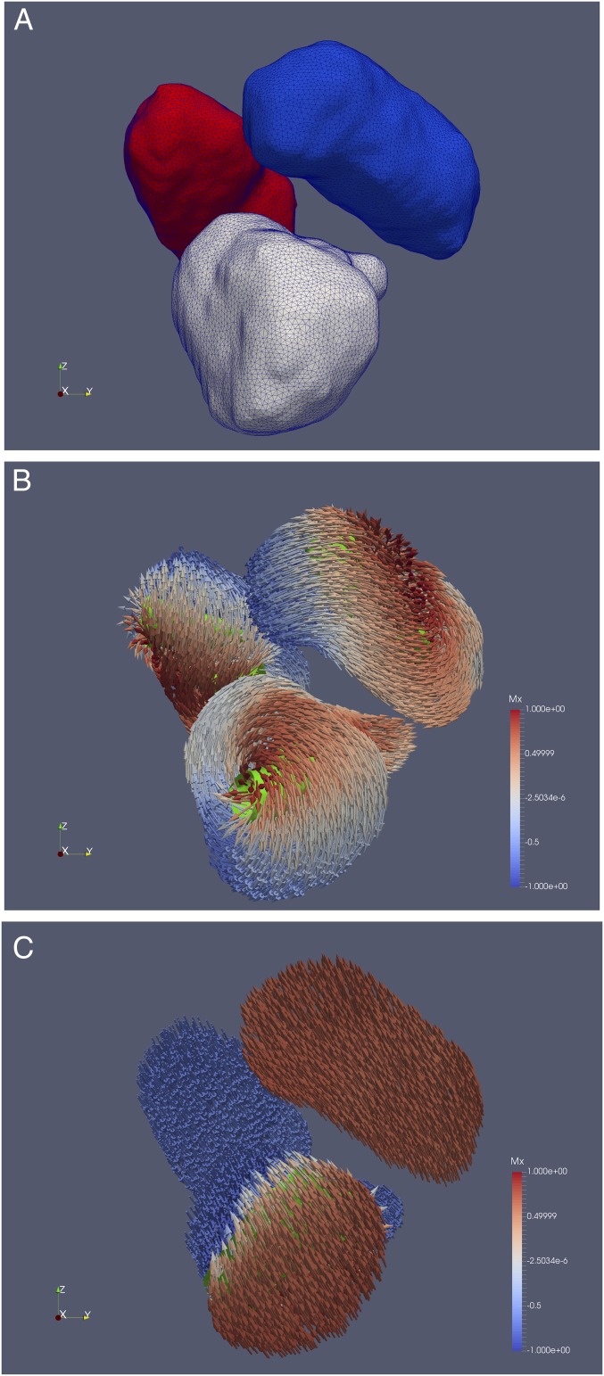 Fig. 8.