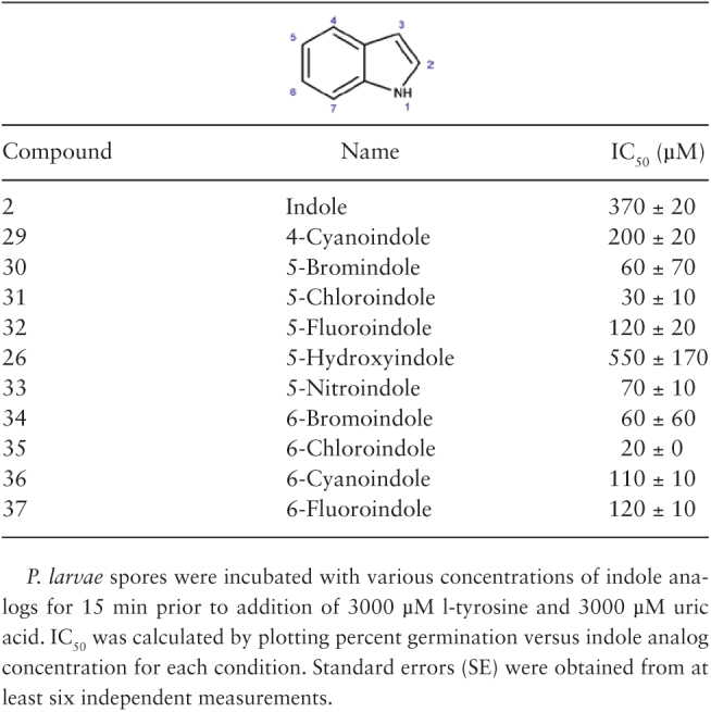 Table 2.