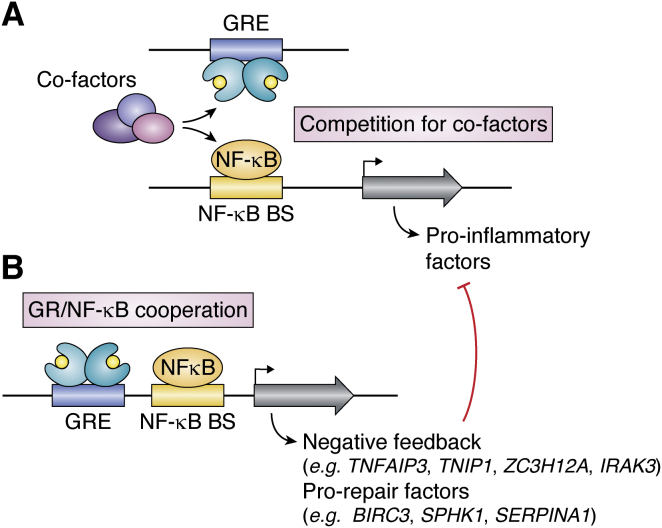 Figure 4