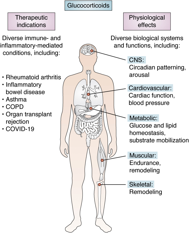 Figure 1