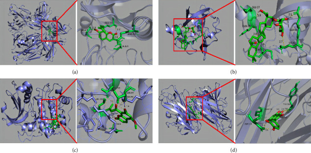 Figure 12