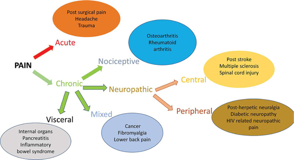 FIG. 4: