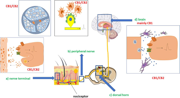 FIG. 2: