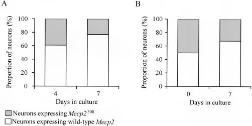 Figure  5