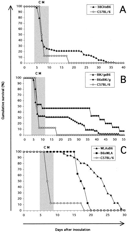 FIG. 8.