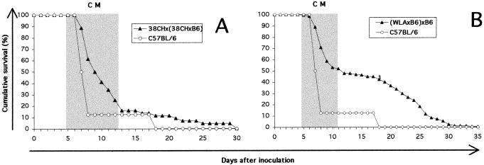 FIG. 9.