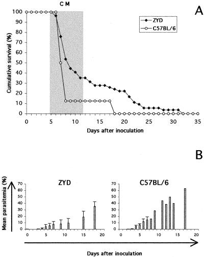 FIG. 7.