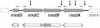 FIG. 1.