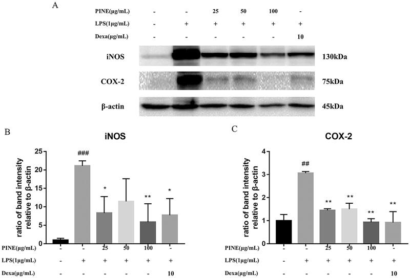 Figure 5.