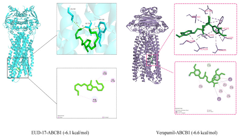 Figure 6