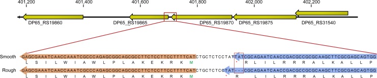 Fig 4