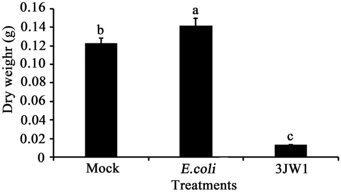 Fig 4