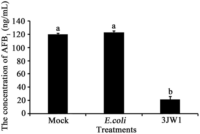 Fig 5