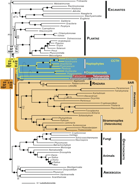 FIG. 2.—