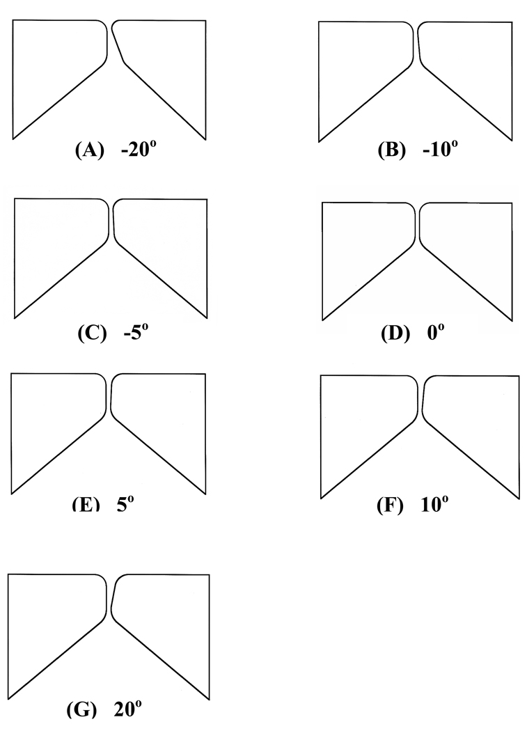 FIG. 1