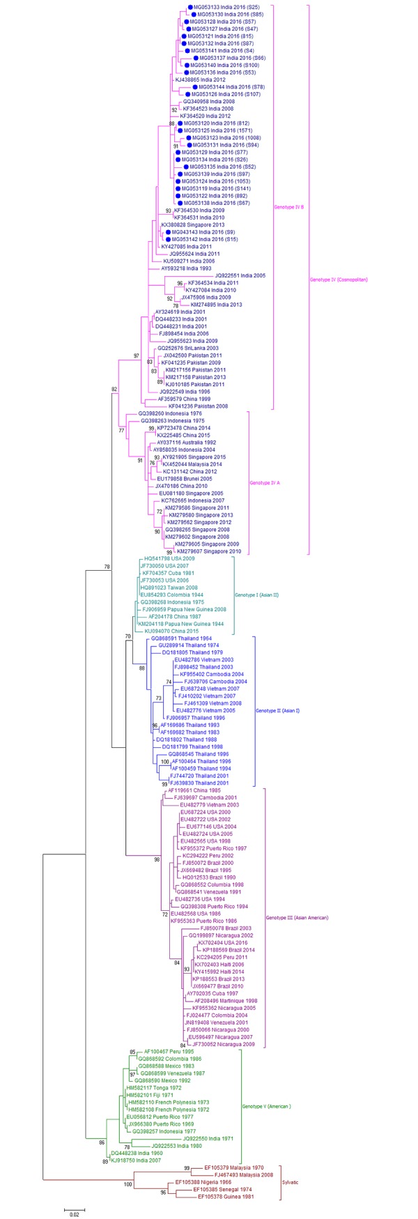 Fig 3