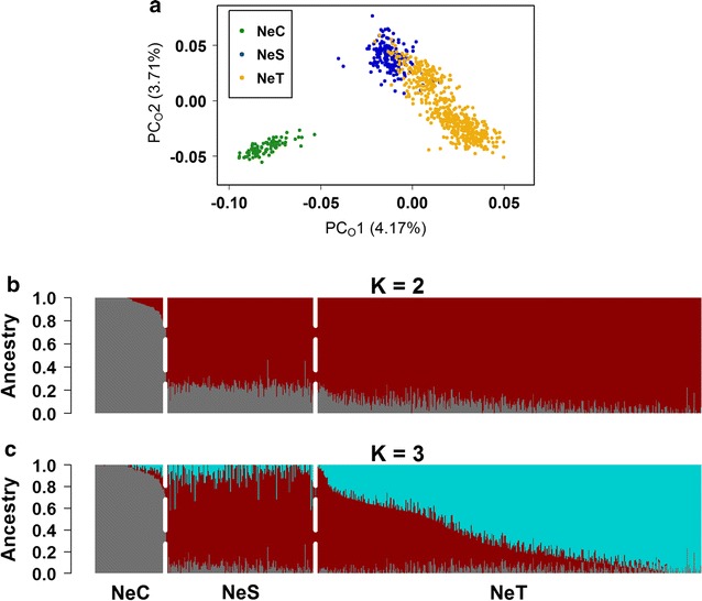 Fig. 2