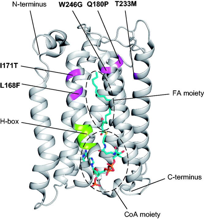 FIG 2