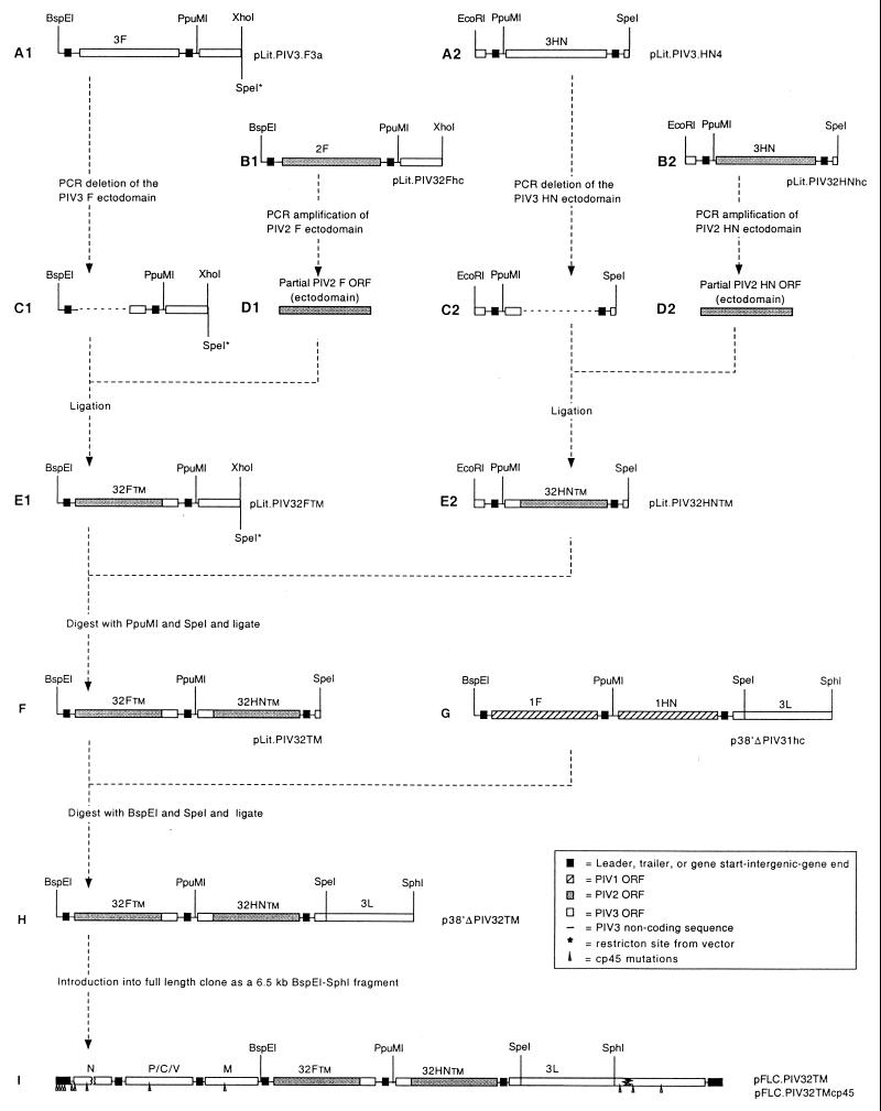 FIG. 1