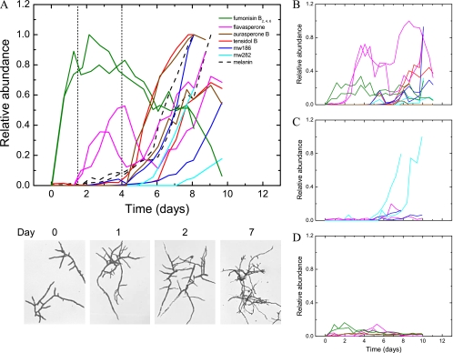 Fig. 4.