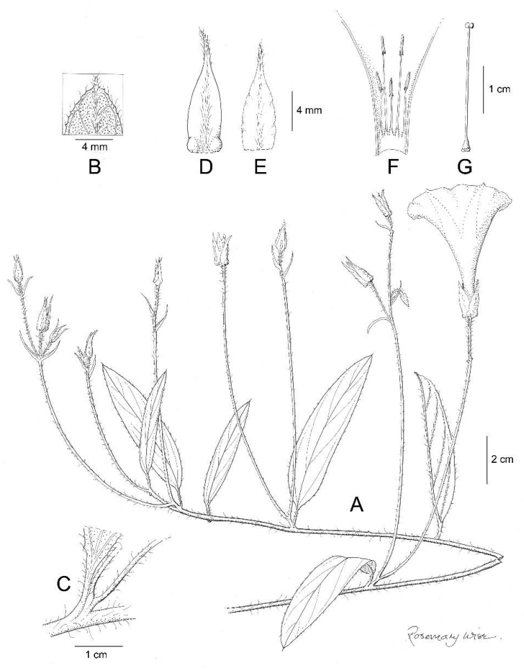 Figure 7.