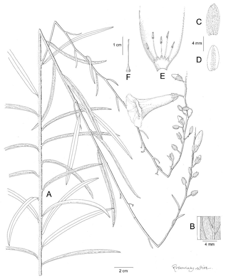 Figure 16.