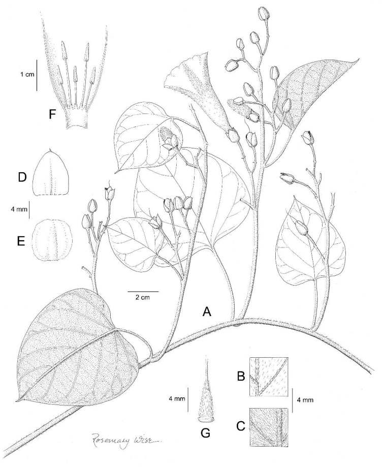 Figure 18.