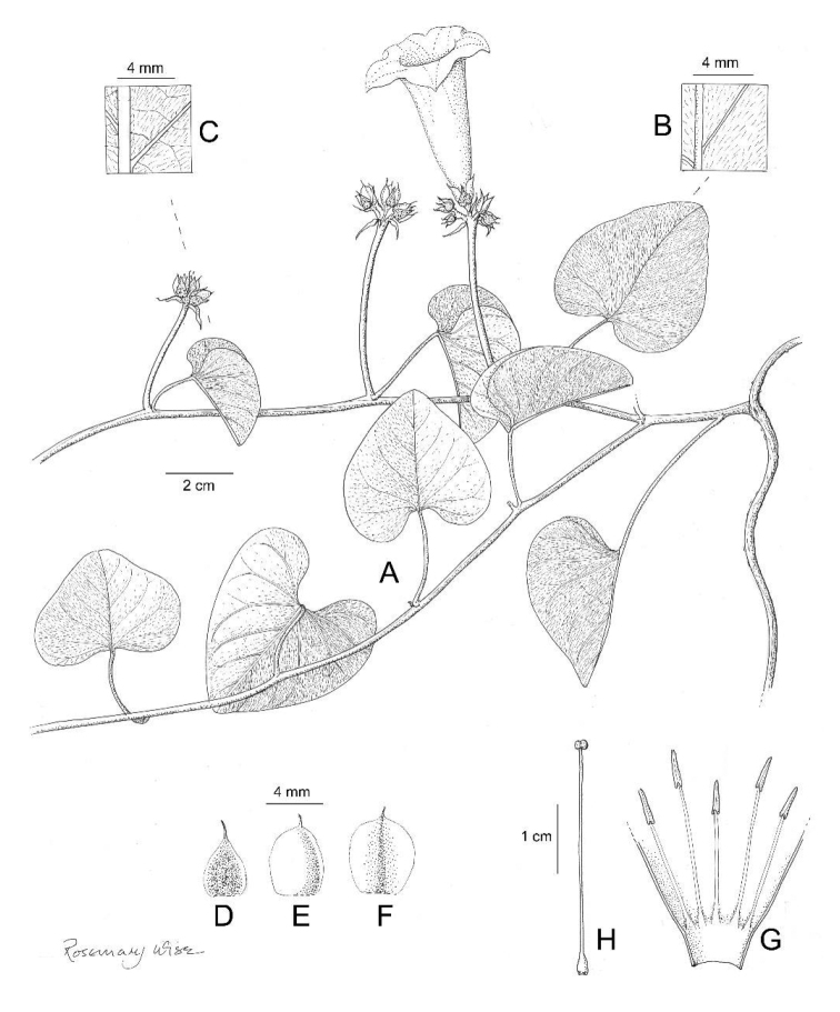 Figure 10.