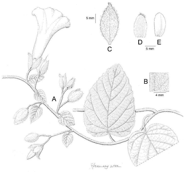 Figure 17.