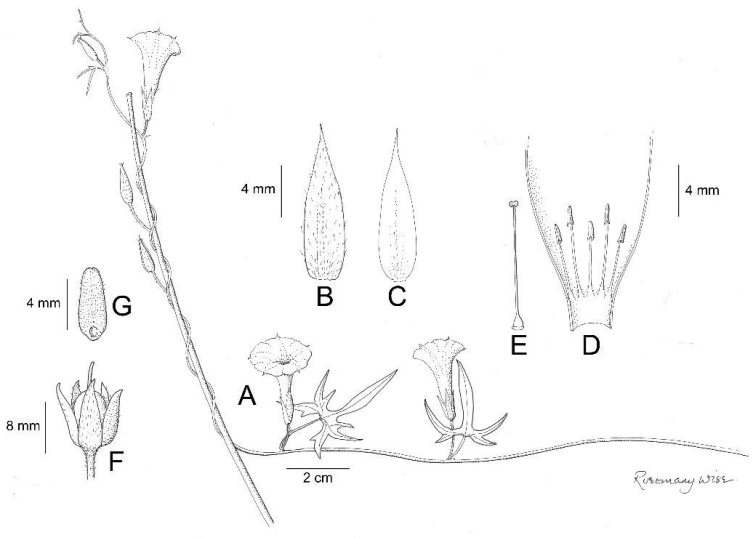 Figure 12.