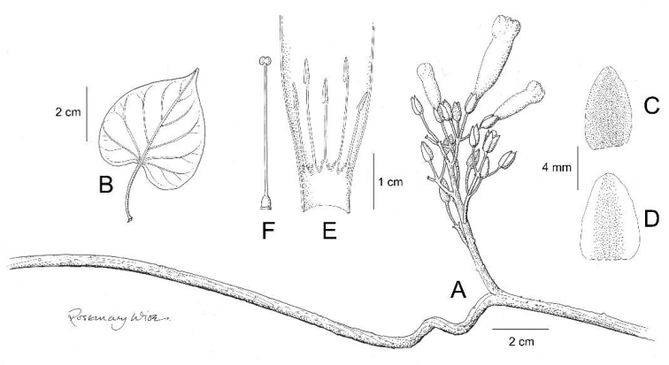 Figure 15.