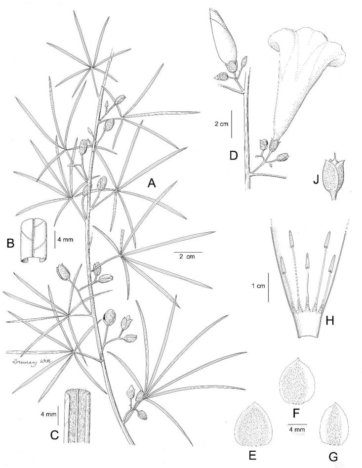 Figure 14.