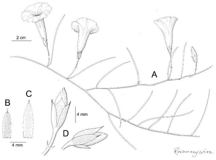 Figure 11.