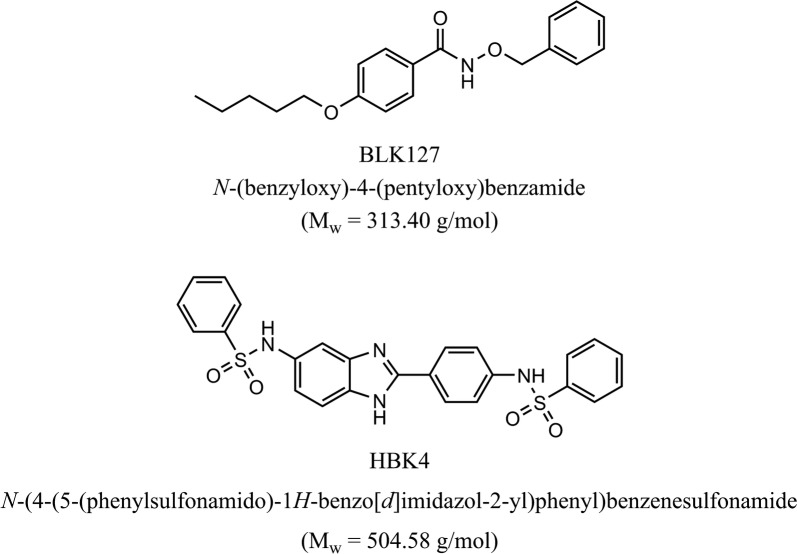 Fig. 1